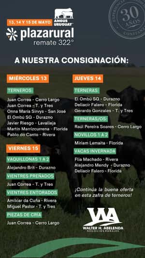 322º remate Plaza Rural