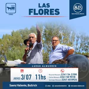 Feria en Las Flores