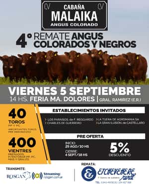 Remate Cabaña Malaika