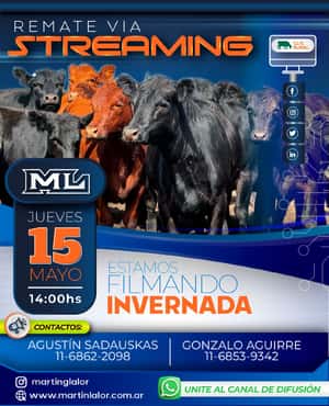 Remate Virtual