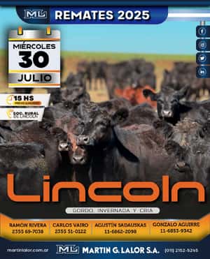 Lincoln (Julio 25´)