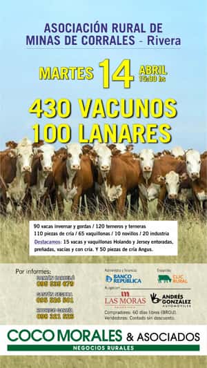 Imagen Feria Mensual - Coco Morales