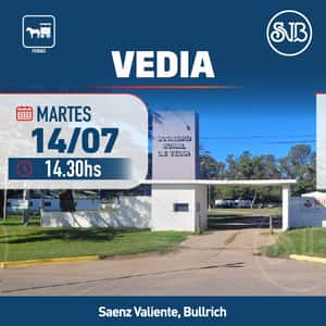 Feria en Vedia