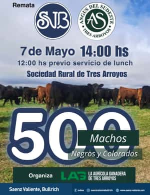 ESPECIAL MACHOS