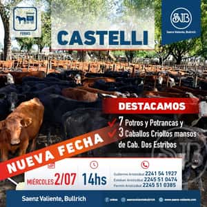 Feria en Castelli