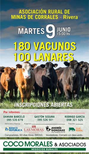 Imagen 09 de Junio - Rural de Minas de Corrales