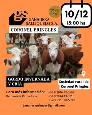 REMATE EN CORONEL PRINGLES