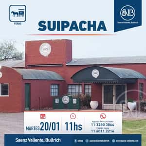 Feria en Suipacha