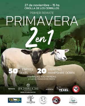 Primavera 2 en 1