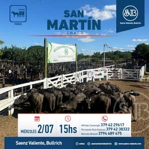 Feria en San Martín