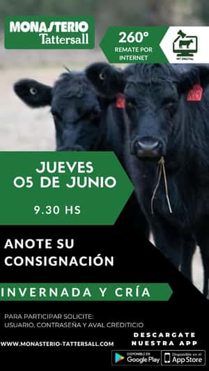 260° Remate por internet