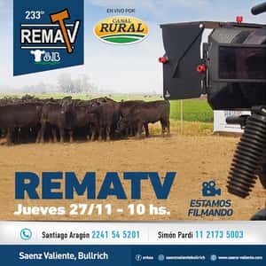 233° RematV