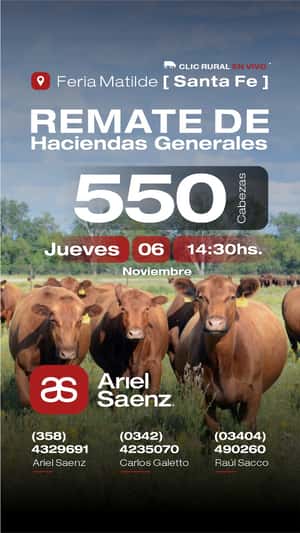 06 de Noviembre - Matilde