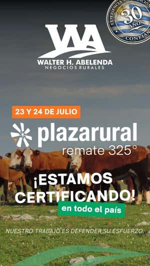 325º remate Plaza Rural