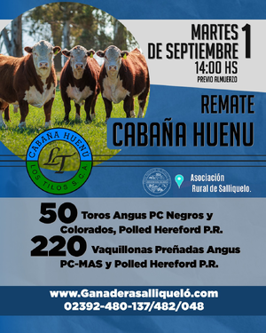 Cabaña Huenu