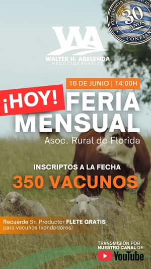 Feria mensual