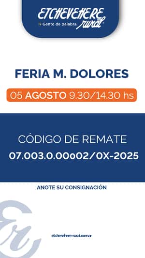 Feria maria Dolores
