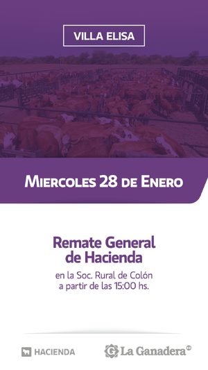 REMATE FERIA EN SOCIEDAD RURAL DE COLON