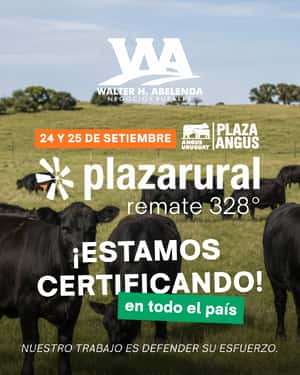 328º remate Plaza Rural