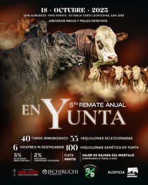 5º En Yunta