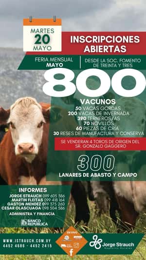Feria Mensual - Jorge Strauch