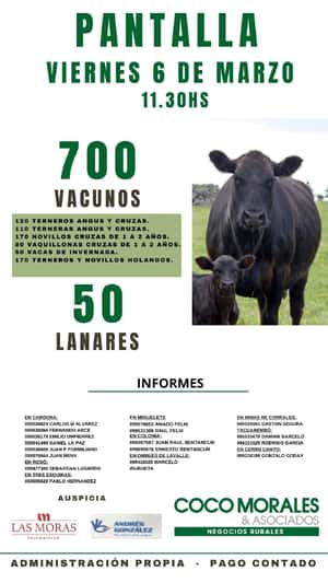 Imagen Remate Virtual