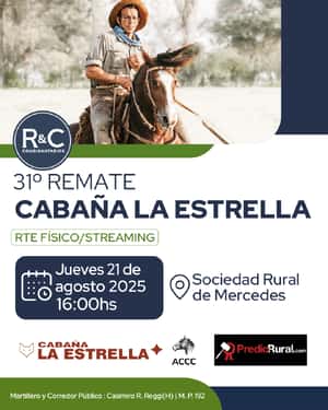 31° REMATE CABAÑA LA ESTRELLA