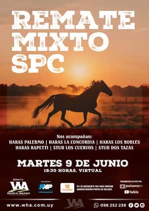 Remate Mixto SPC