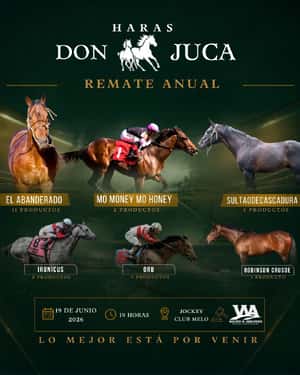 Haras Don Juca
