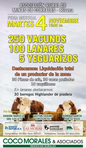 Imagen Feria mensual - Coco Morales & Asoc