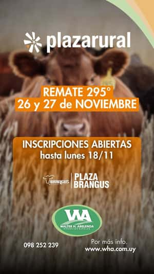 295º remate Plaza Rural 