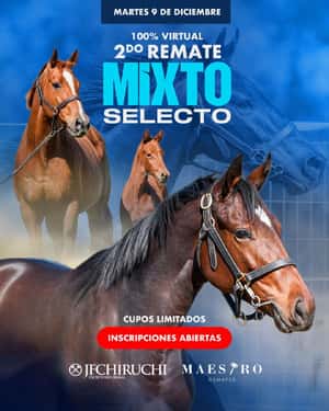 2º Remate Mixto Selecto