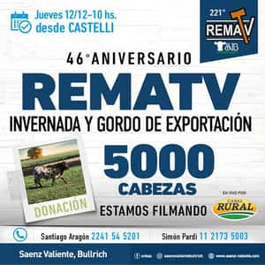 221° RematV