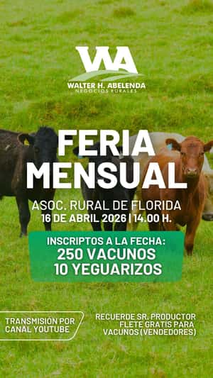 Feria Mensual