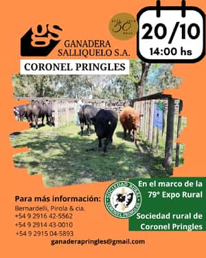REMATE EN CORONEL PRINGLES