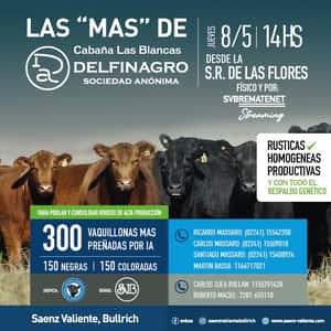 Las "MAS" de DELFINAGRO
