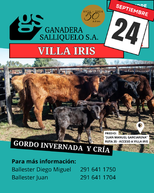 24 de Septiembre - Villa Iris