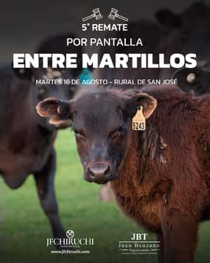 5to remate por pantalla ENTRE MARTILLOS