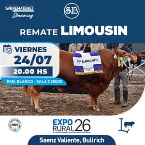 Limousin