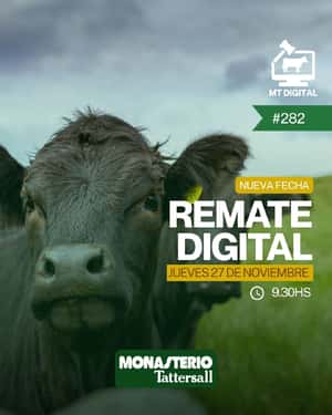 Remate digital 282°
