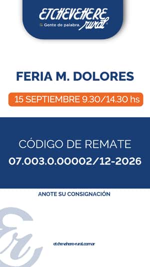 Feria Maria Dolores
