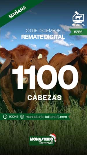 Remate digital 285°