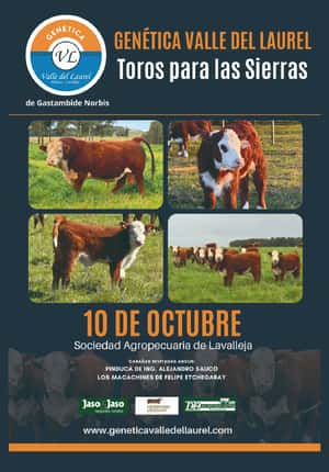 Toros para las Sierras - Valle del Laurel