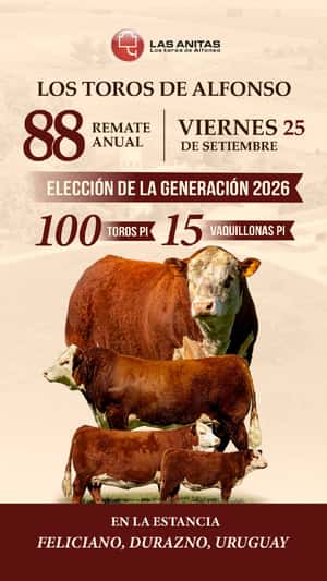 88º Las Anitas