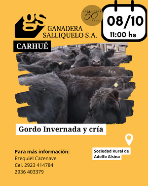 REMATE EN CARHUÉ