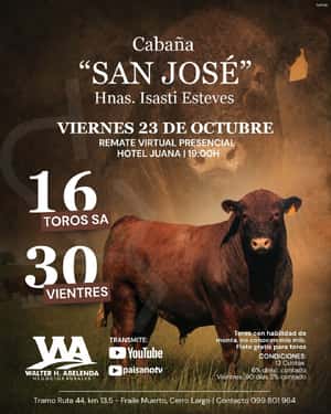 Cabaña San Jose