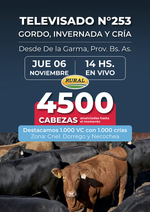 253° REMATE POR  PANTALLA