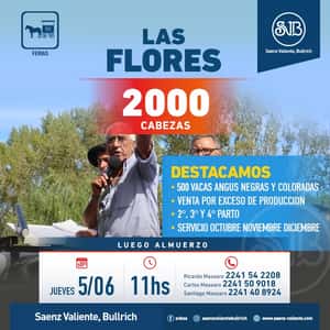 Feria en Las Flores