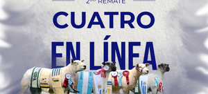 CUATRO EN LINEA
