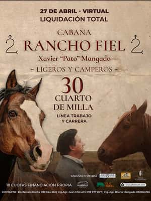 27 de Abril - Virtual